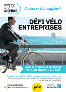 Dfi Vlo Entreprises 2013
